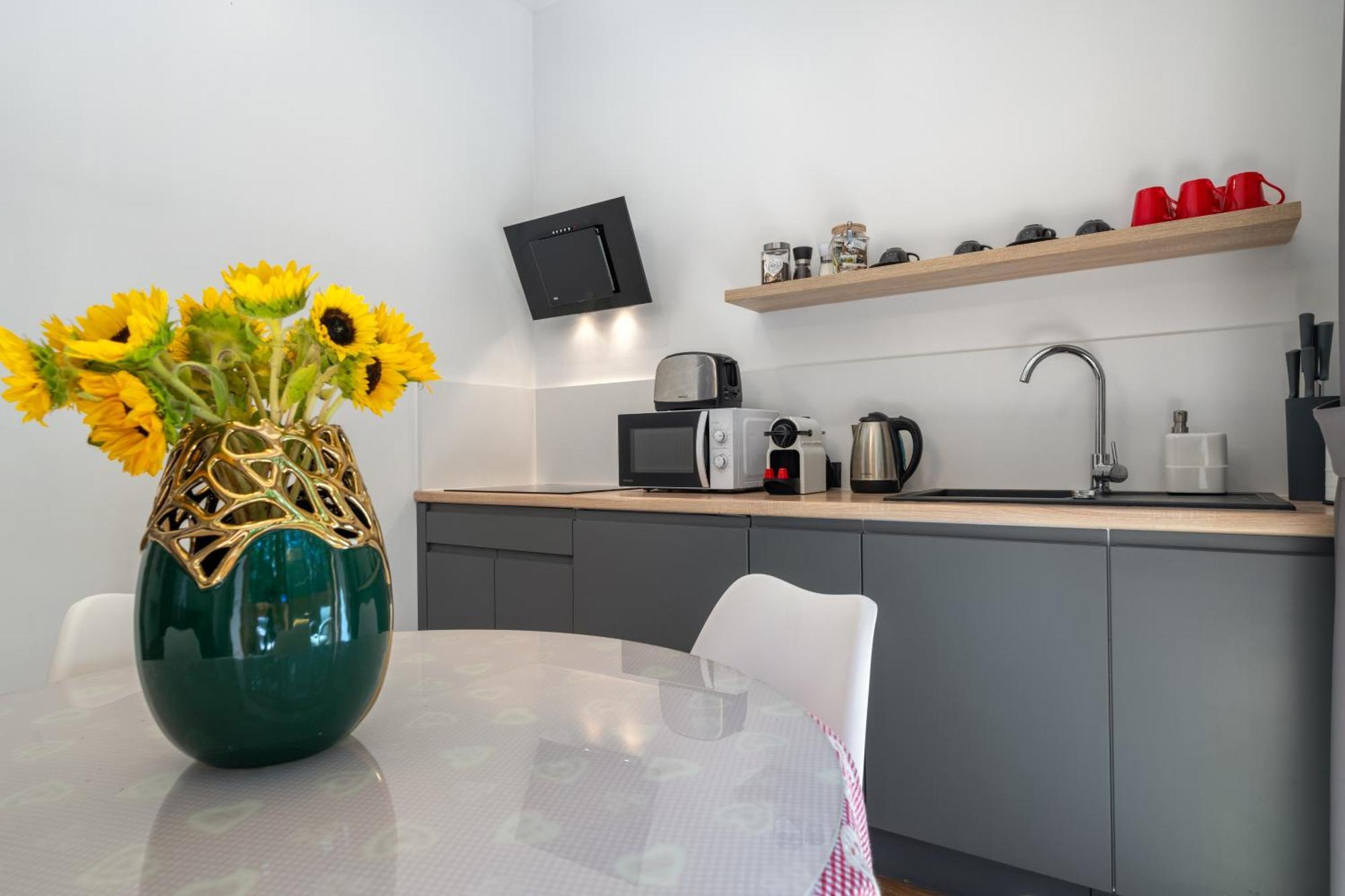 Willa Jarosta & Spa, Ac -Free Parking Zakopane Luaran gambar
