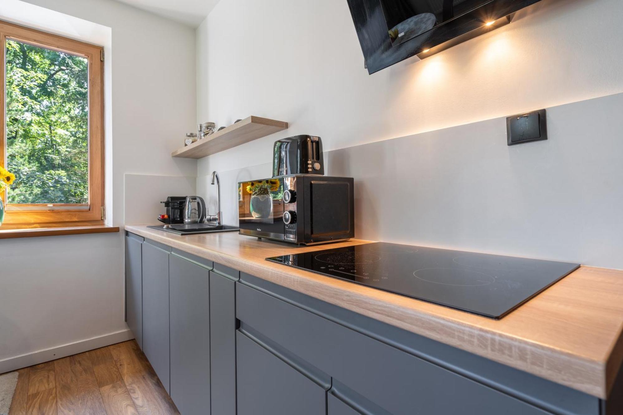Willa Jarosta & Spa, Ac -Free Parking Zakopane Luaran gambar